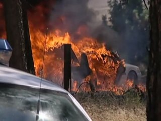 Watch Cops (FOX) Season 30 Episode 11 Online Full