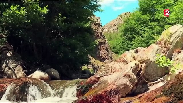 Vacances : le charme méconnu des gorges de la Dourbie