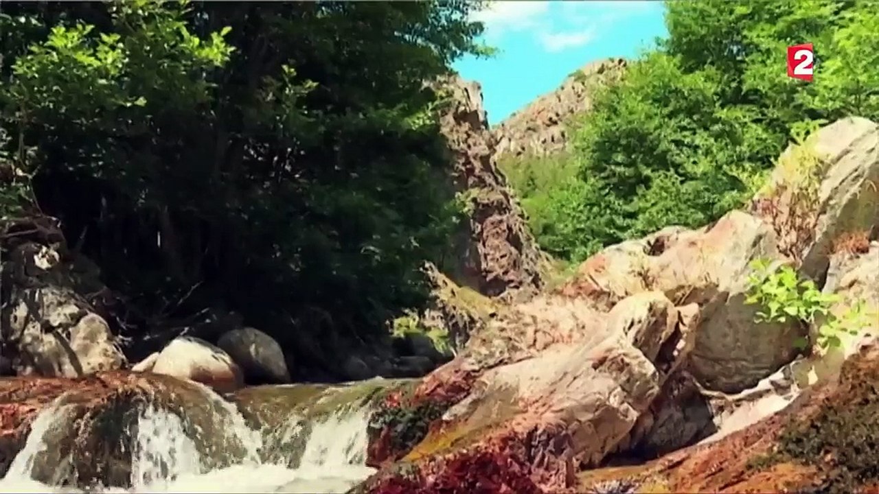 Vacances : le charme méconnu des gorges de la Dourbie