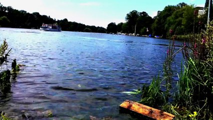 Велопрогулка Берлин Wannsee. Лето