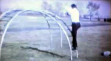 1975 - Dragi Nikolic Chicago