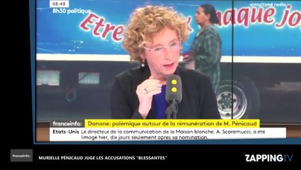 Affaire Danone : La Ministre du Travail, Murielle Pénicaud, juge les accusations "blessantes" (vidéo)