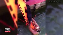 Firefighter Saves Drowning Pup, Reunites Him with His Owner