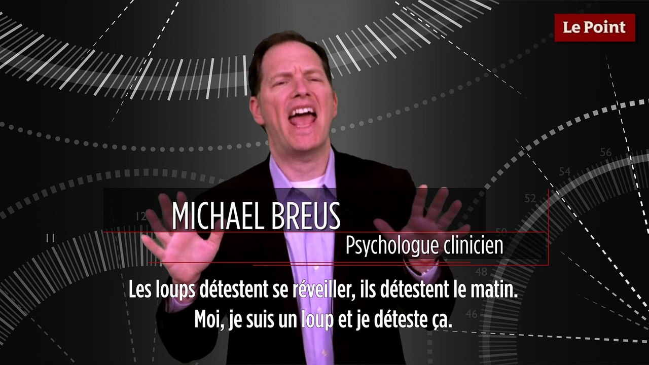 Chronobiologie mode d'emploi #4 : la journée type du loup