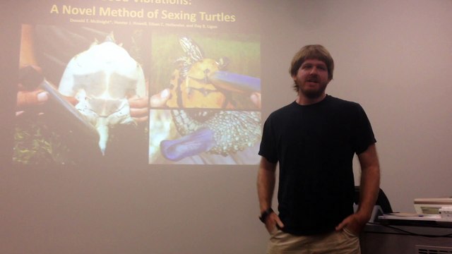 Une technique insolite qui pourrait aider à sauver les tortues