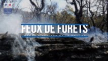 Lutte contre les feux de forêts dans le Sud-Est de la France