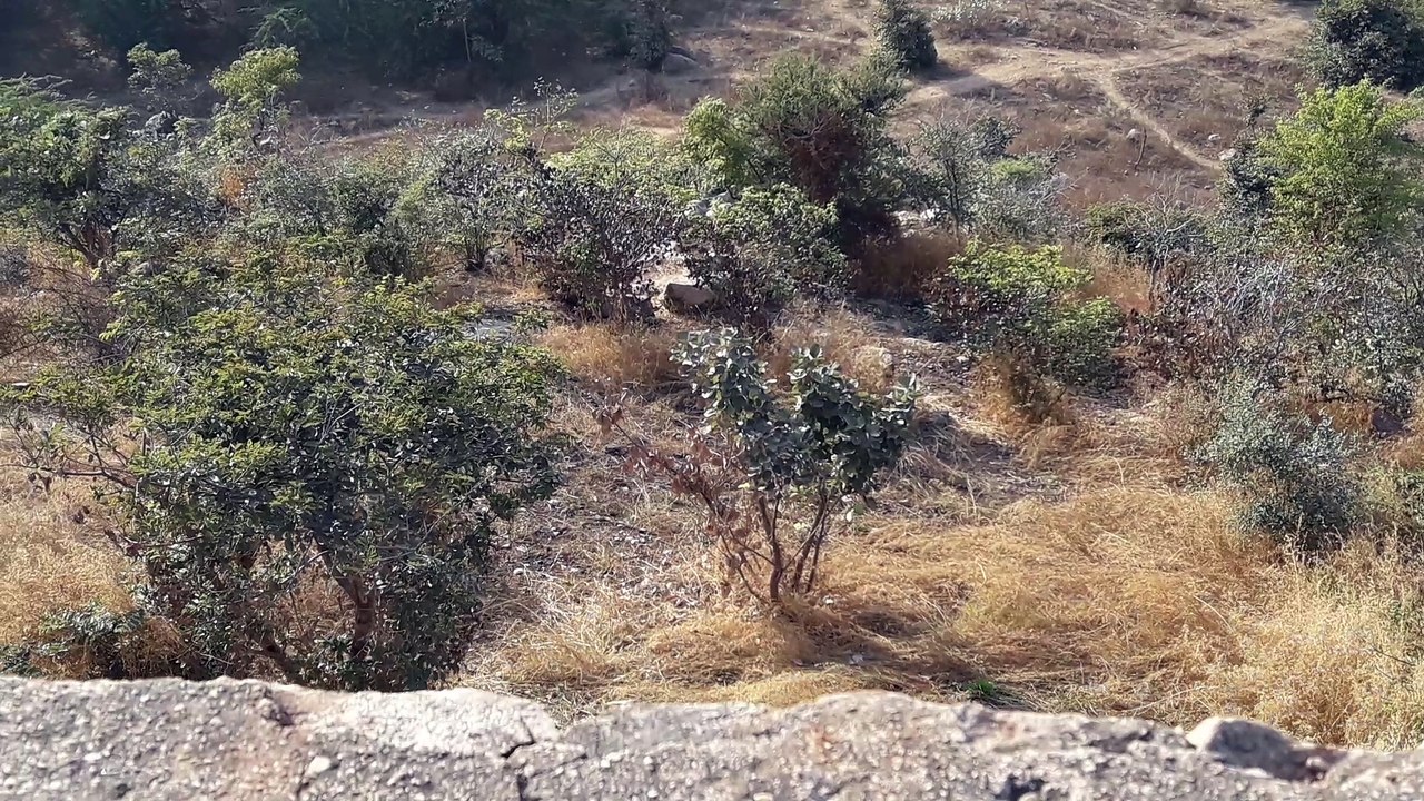 Jhansi Fort-Queen Jumped from Here with Her Horse