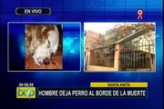 Santa Anita: hombre golpea a perro y lo deja al borde la muerte