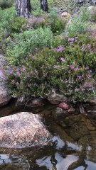 A New Way to Catch Fish