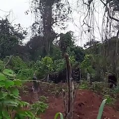 See What Police Found Inside A Shrine In Ikorodu Today Pt2