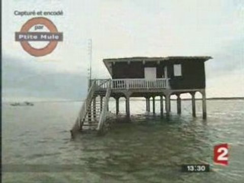 La cabane de l'île aux oiseaux