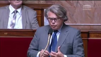 Gilbert Collard: réserve parlementaire (31/07/2017)
