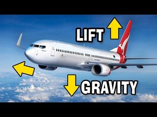 How Do Airplanes Actually Fly?