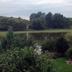 Mobile Capture 29.07.2017