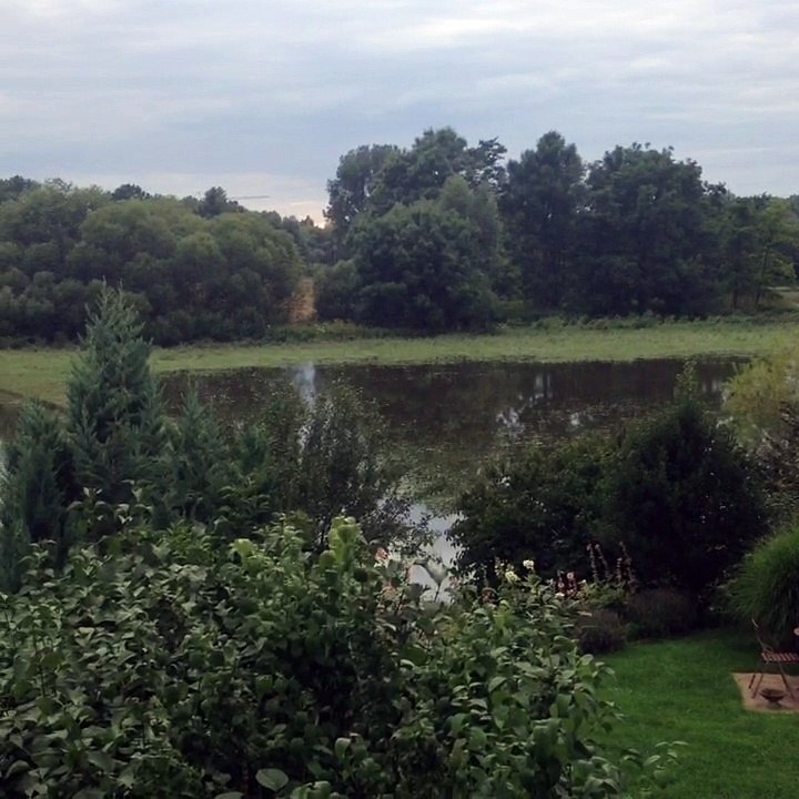 Mobile Capture 29.07.2017