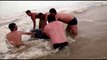 Banhistas ajudam baleia a voltar para o mar em Itaúnas