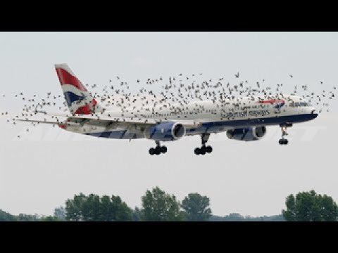 If it were not FILMED, no one would BELIEVE IT | Videos you will not believe