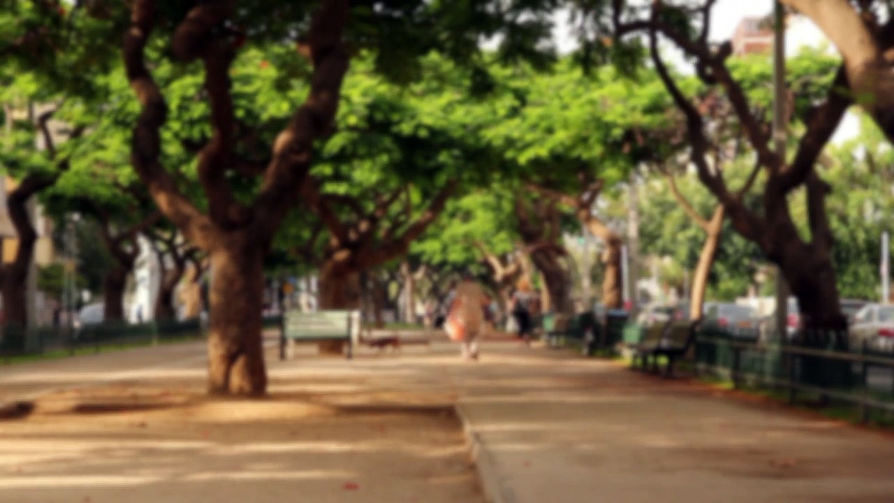 The Boulevard