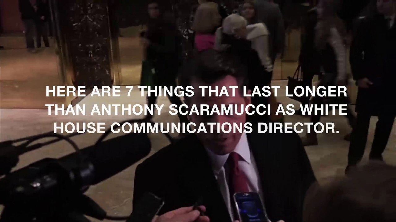 7 things that lasted longer than Anthony Scaramucci's White House tenure