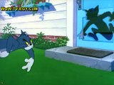 حصريا جميع حلقات كارتون - توم وجيري Tom and Jerry حلقة -71-