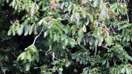 On The Waterman 30/07/17