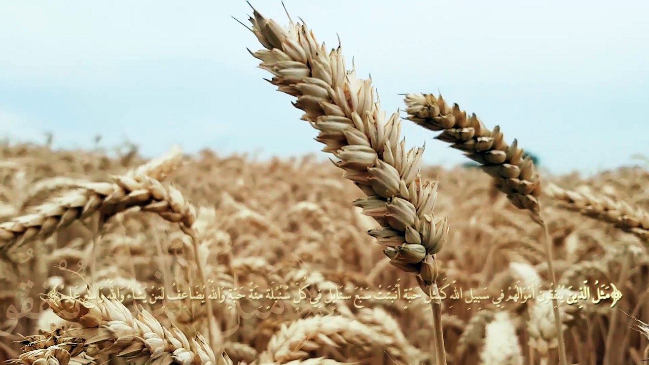 الصدّقة