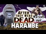 HARAMBE - AFTER They Were DEAD