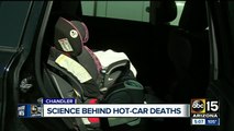 Psychologist weighs in on how parents could forget a child inside a car
