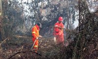 Total Lahan Terbakar di Riau Capai 548,72 Hektar