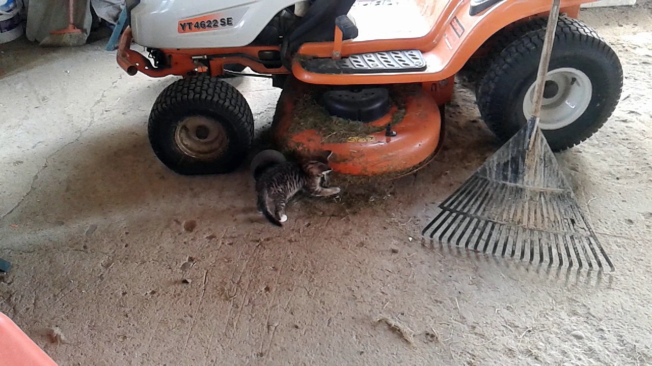 Jolicoeur 2 (31/07/2017)