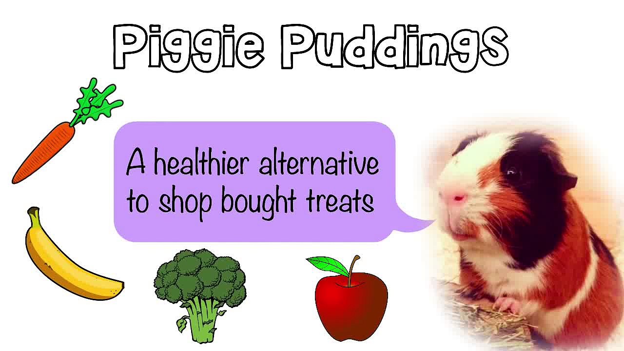 Homemade Banana Cookies For Guinea Pigs