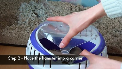 How I Clean My Hamster Cage (time lapse)