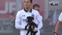 Chilean Team Colo-Colo Took Shelter Dogs To The Field To Raise Adoption Awareness!