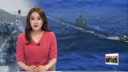 Evidence of North Korean submarine ejection test: U.S. defense official