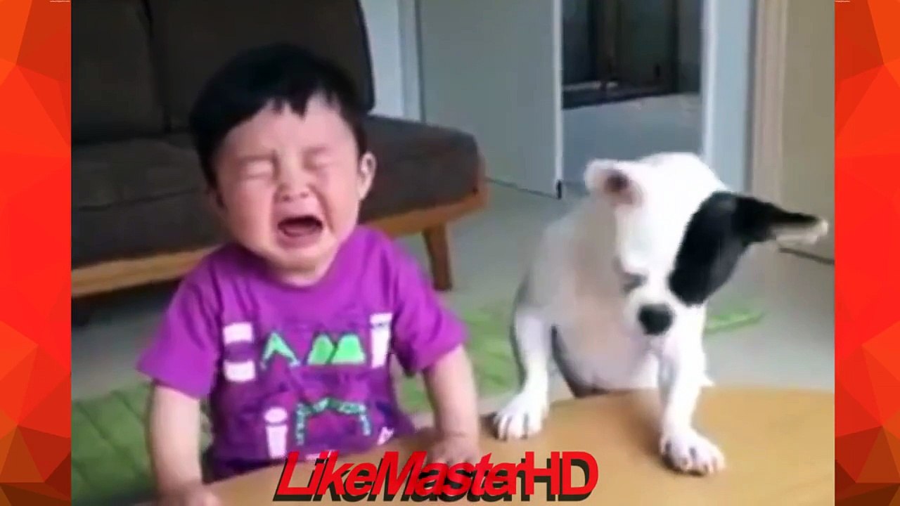 Funny Animals - Fails Compilation (Funny Videos)