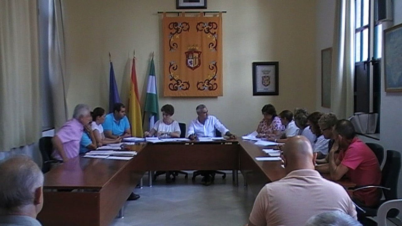 Pleno 28 de Julio de 2017