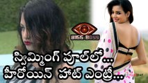 Bigg Boss Telugu : Jr NTR welcomes wild card entrant Diksha Panth