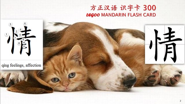 Origin of Chinese Characters - 0261 情 feelings, affection, sentiment