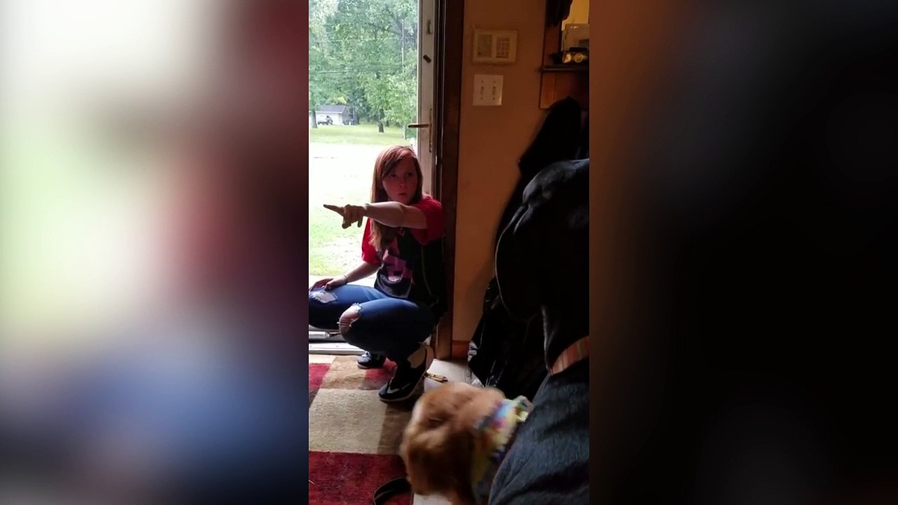 Un chien râle car sa maîtresse ne veut pas jo...