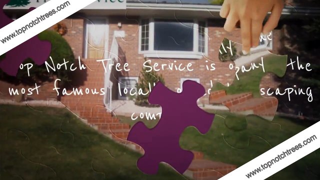 Need of Tree Removal and Cutting Services