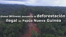 Global Witness denuncia la deforestación ilegal en Papúa Nueva Guinea