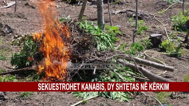SEKUESTROHET KANABIS, DY SHTETAS NË KËRKIM