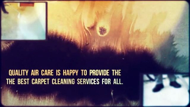 High-Quality Carpet Cleaning Services