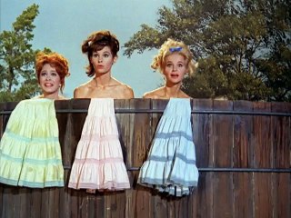 Petticoat Junction S3 E05 - Joe Carson, General Contractor