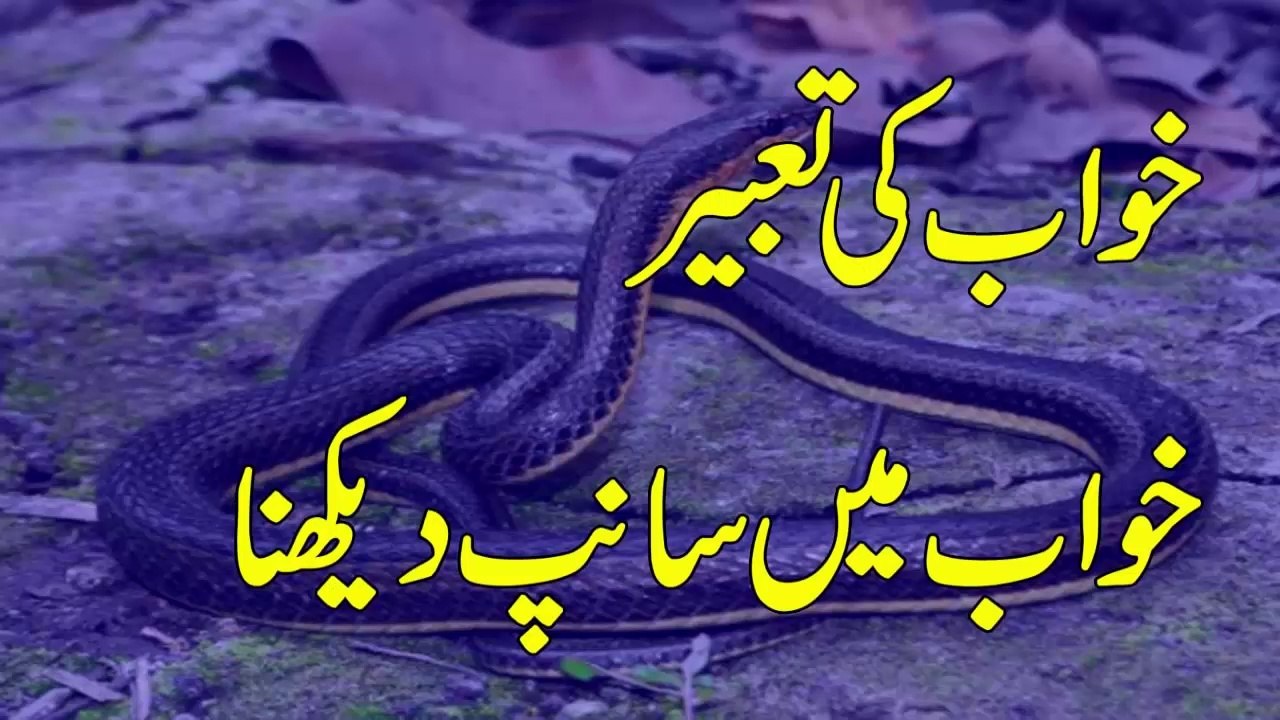 Khawab Ki Tabeer Khawab Mein Sanp Ko Dekhna