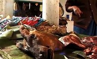 Bushmeat market in Nagaland, India