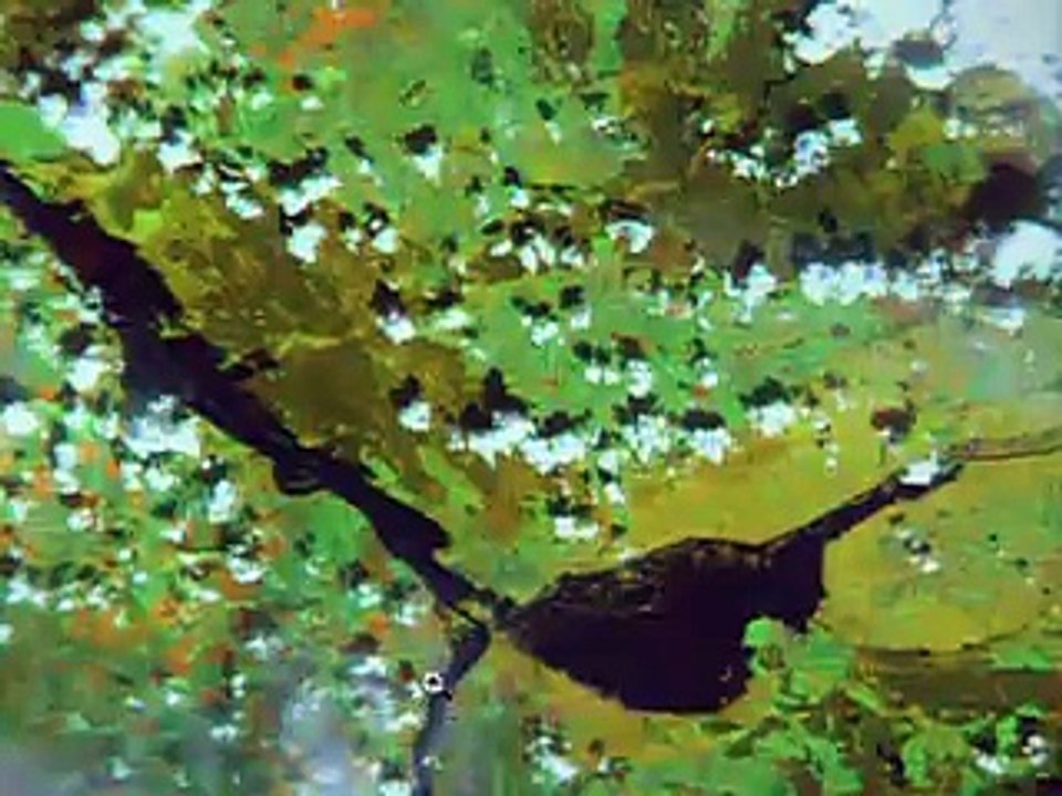 Tagesschau | 01. August 1997 20:00 Uhr (mit Dagmar Berghoff) | Das Erste