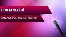 Ekrem Çelebi - Anlamıyon Hallerimden (Full Albüm)