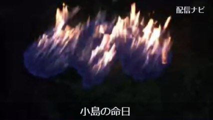 【金バエ】公園でお酒に火を付けるキチガイ配信者達（ツイキャス）