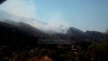 Përfshihet nga flakët pylli mbi Ibë - Top Channel Albania - News - Lajme